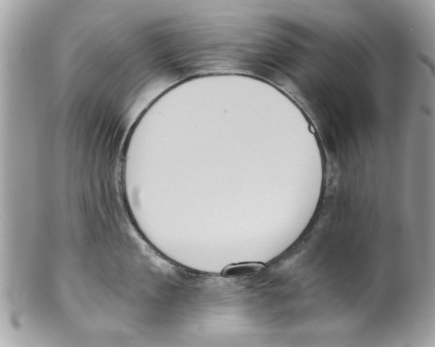 X0000098140909200805151137