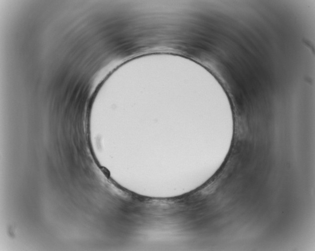 X0000098140910200805151137