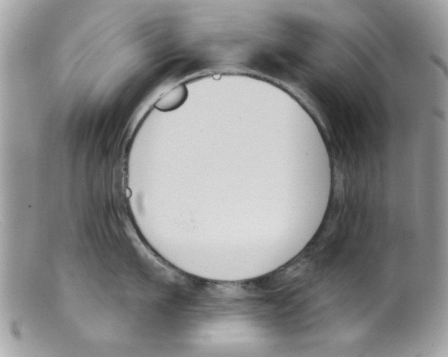 X0000098140911200805151137