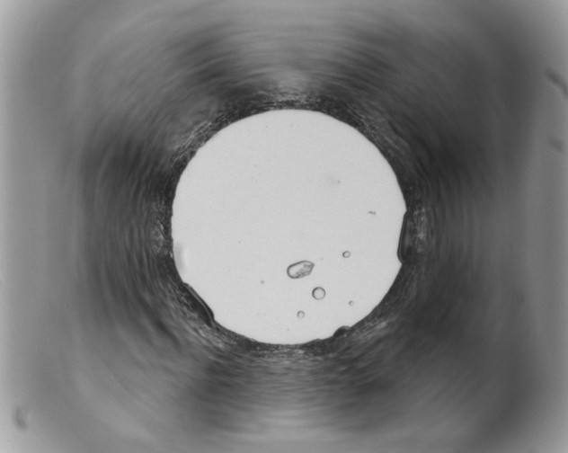 X0000098140916200805151136