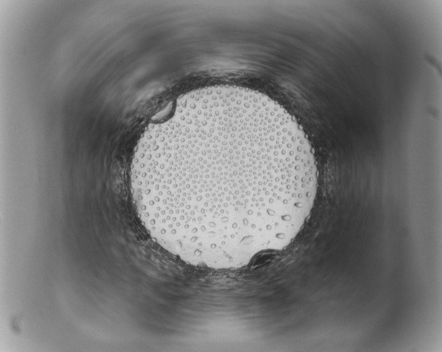 X0000098140917200805151136