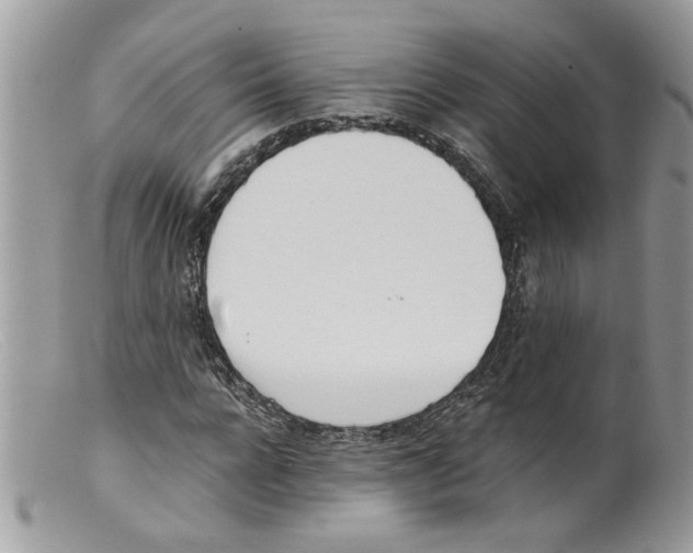 X0000098140920200805151136