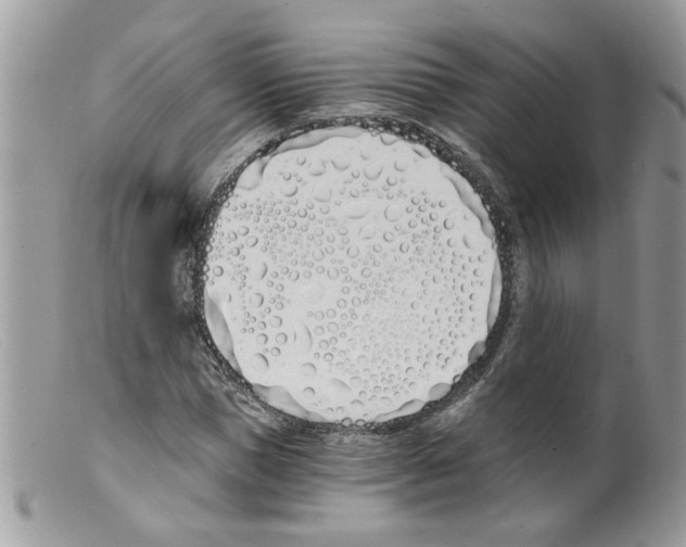 X0000098140921200805151136