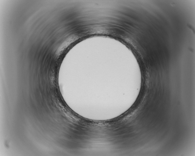 X0000098140922200805151136