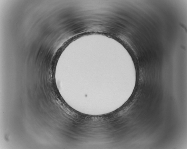 X0000098140923200805151136