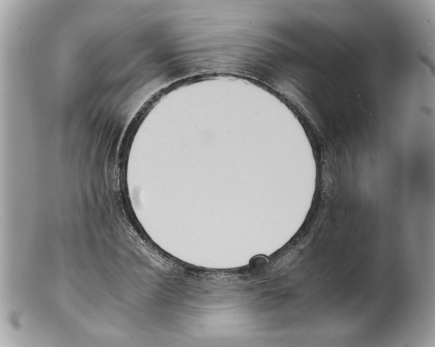 X0000098140924200805151136