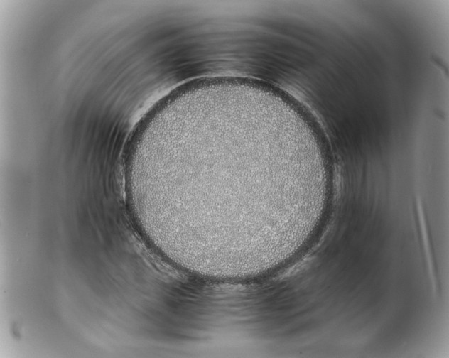 X0000098140925200805151136