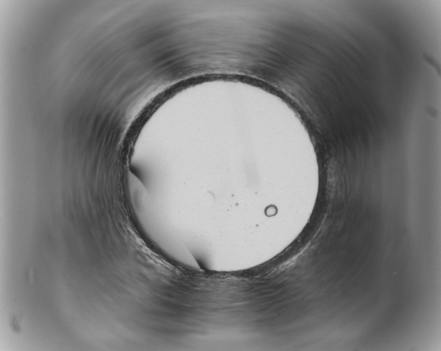 X0000098140926200805151136