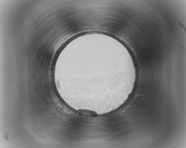 X0000098140928200805151136