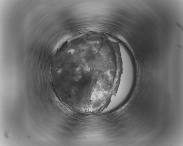 X0000098140930200805151136