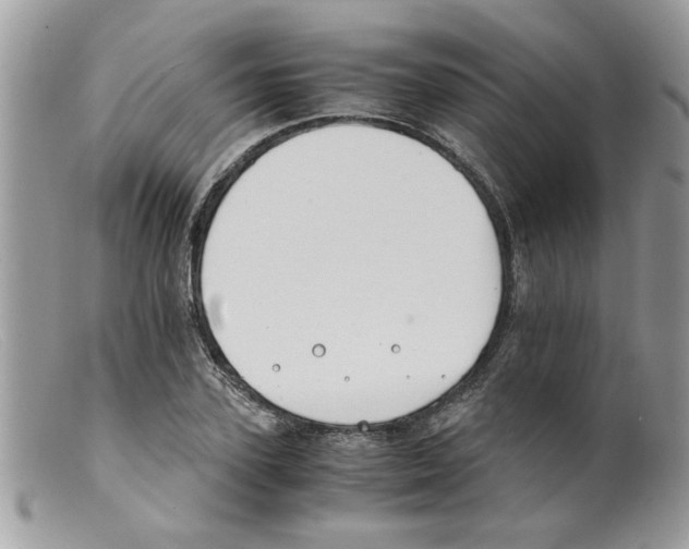 X0000098140931200805151136