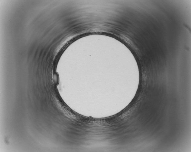 X0000098140934200805151136