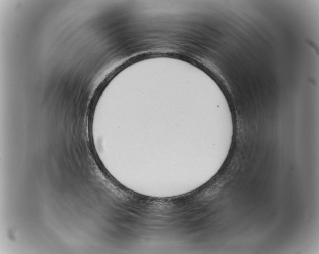 X0000098140935200805151136