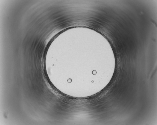 X0000098140936200805151136