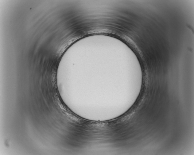 X0000098140937200805151136