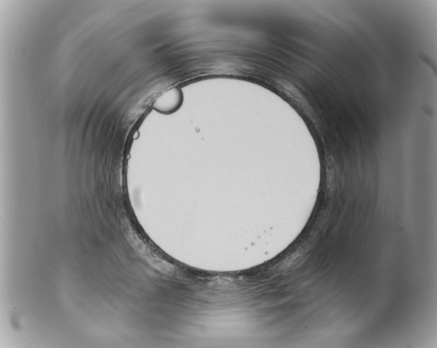 X0000098140938200805151136