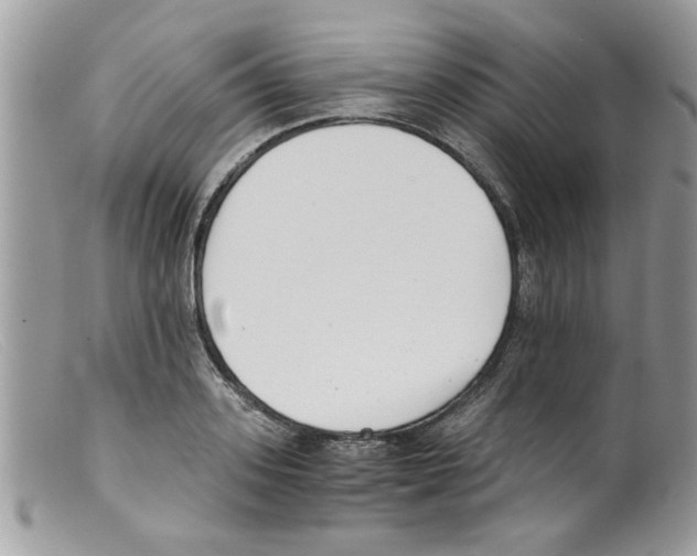 X0000098140939200805151136