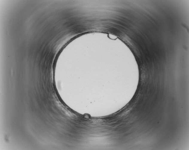 X0000098140940200805151136