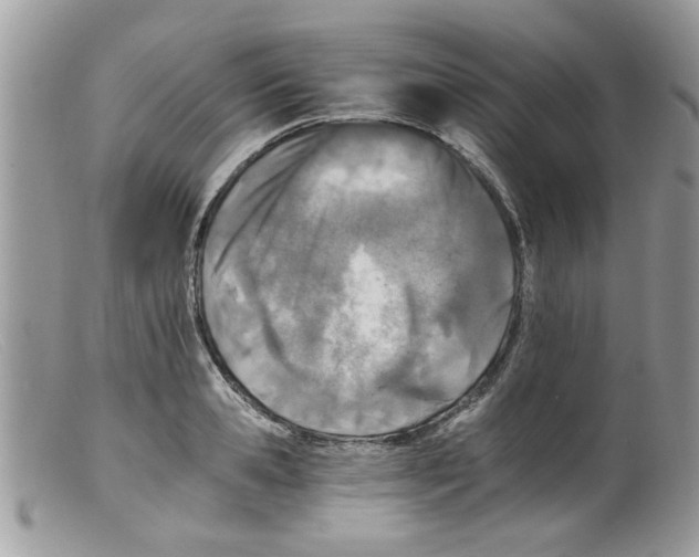 X0000098140941200805151136