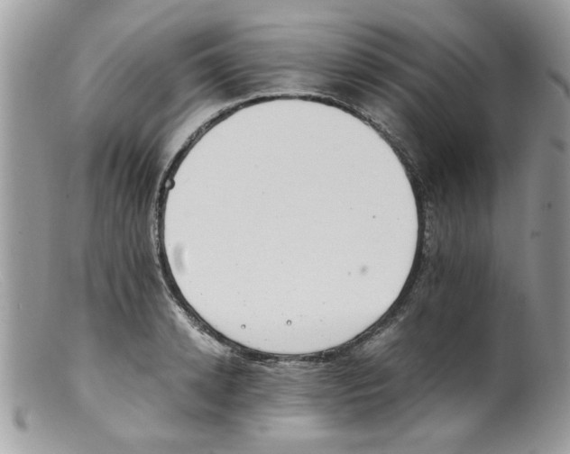 X0000098140942200805151136