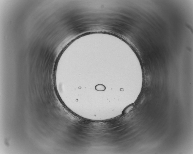 X0000098140943200805151136