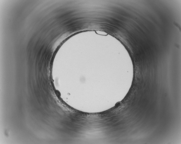 X0000098140944200805151136