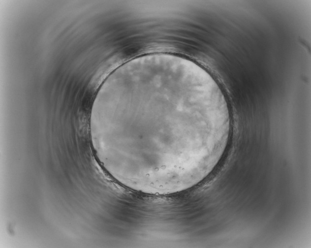 X0000098140945200805151136