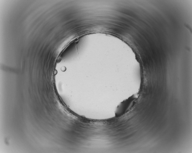 X0000098140946200805151136