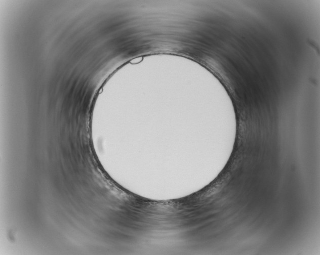 X0000098140948200805151136