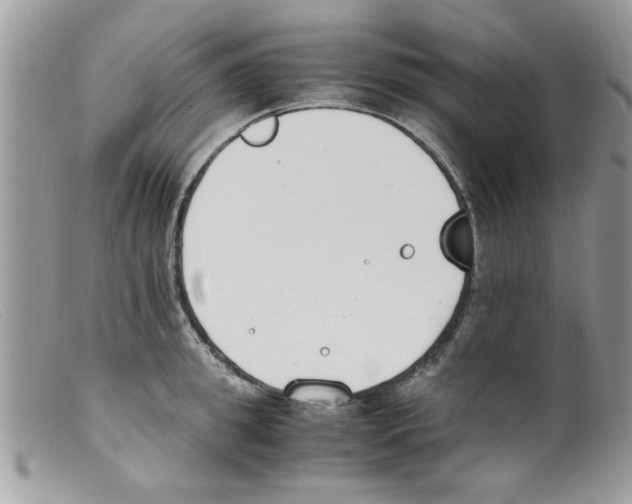 X0000098140949200805151137