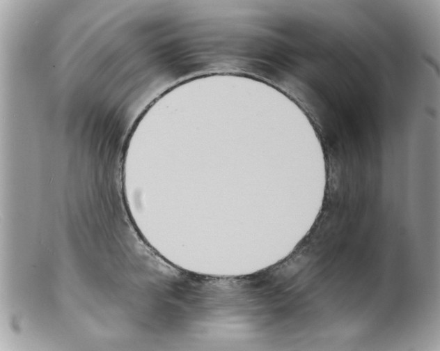 X0000098140950200805151137