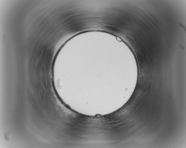 X0000098140951200805151137