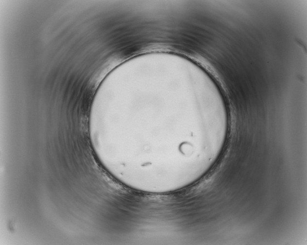 X0000098140953200805151137