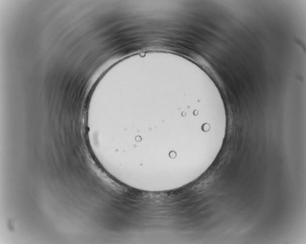 X0000098140955200805151137