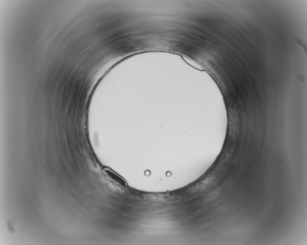 X0000098140956200805151137