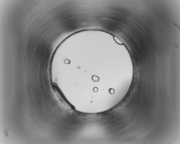 X0000098140959200805151137