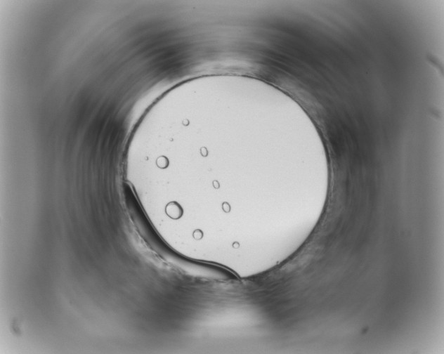 X0000098140960200805151137