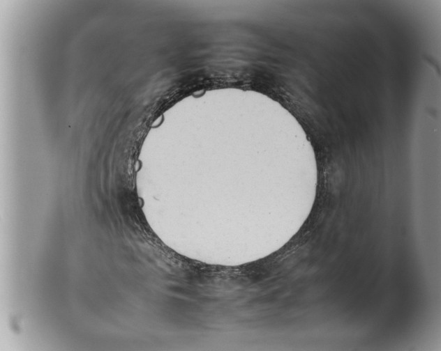 X0000098140961200805151136