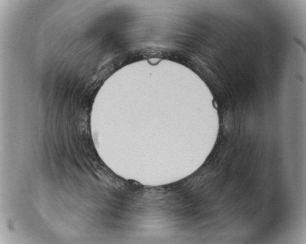 X0000098140964200805151136