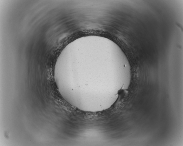 X0000098140965200805151136