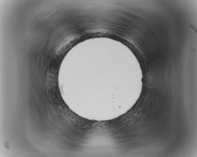 X0000098140967200805151136