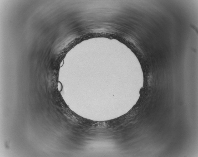 X0000098140968200805151136