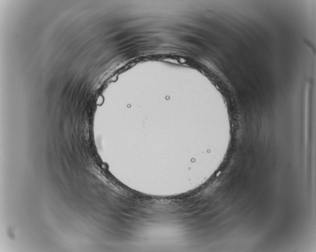 X0000098140969200805151136