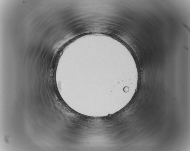 X0000098140971200805151136