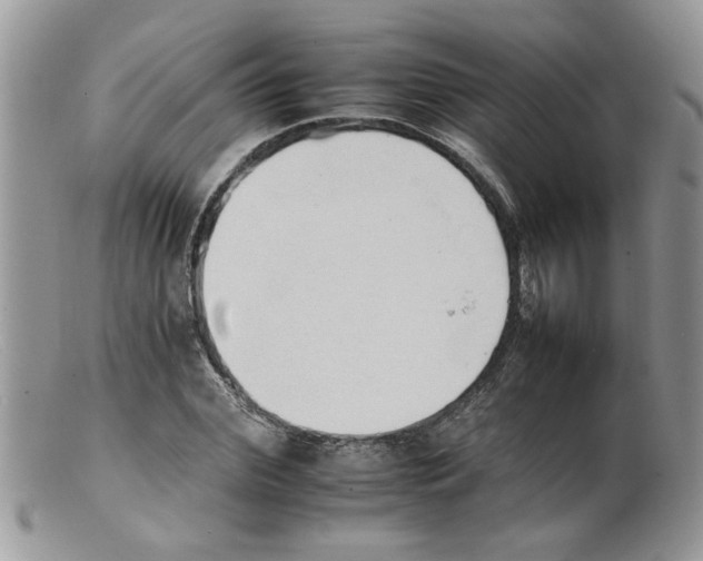 X0000098140972200805151136