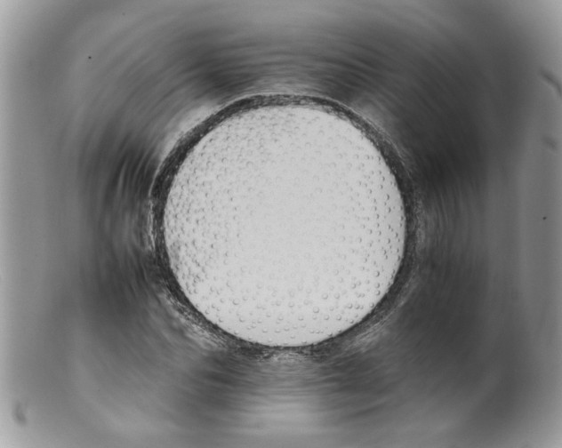 X0000098140974200805151136