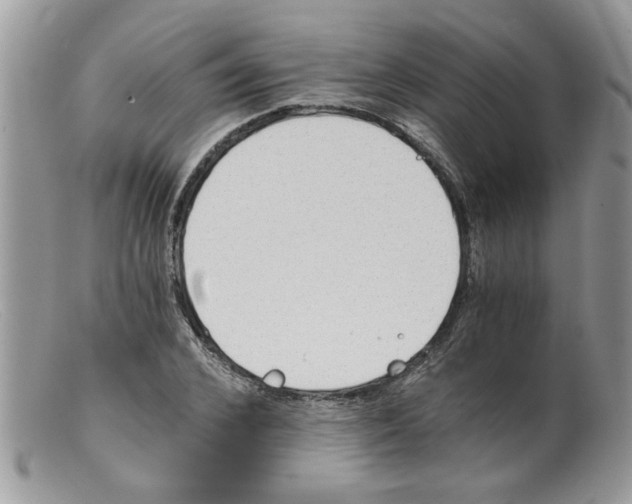 X0000098140976200805151136