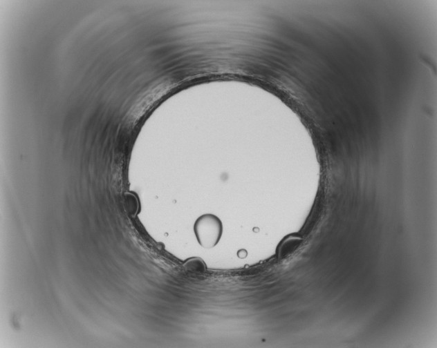 X0000098140977200805151136