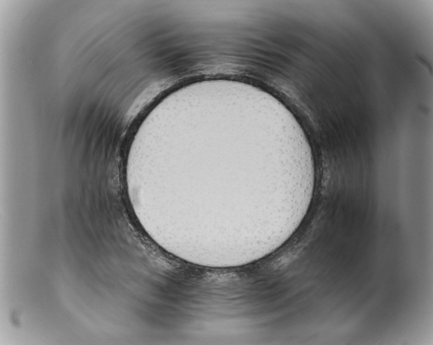 X0000098140978200805151136