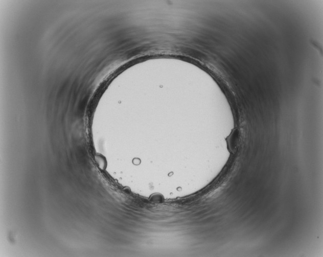 X0000098140981200805151136